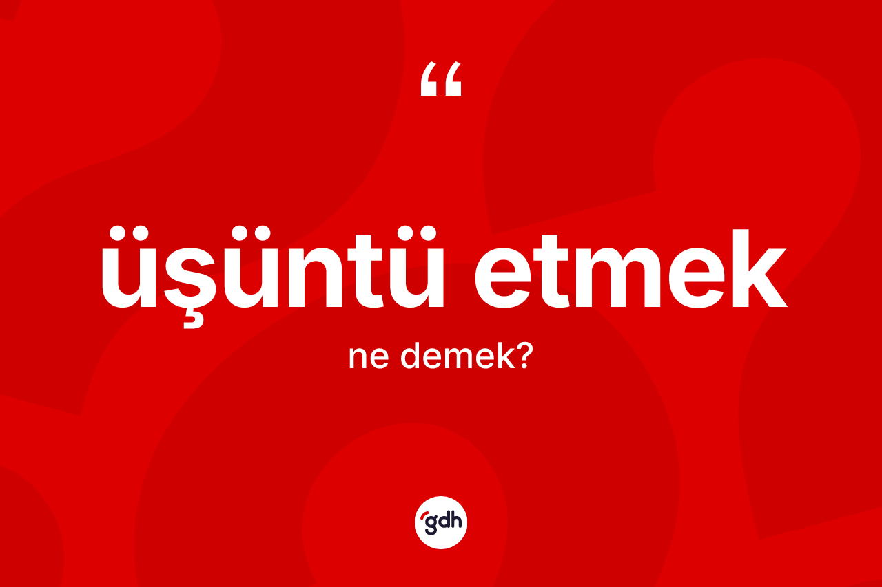 Üşüntü etmek ifadesinin tanımı nedir? Üşüntü etmek ifadesinin kaç farklı anlamı var?