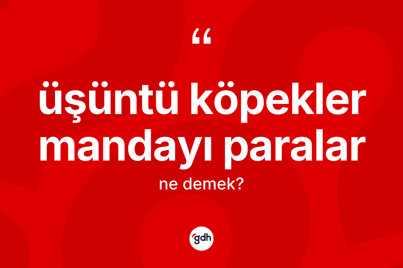 Üşüntü köpekler mandayı paralar ifadesinin kısaca tanımı nedir? Üşüntü köpekler mandayı paralar ifadesinin TDK'ya göre anlamı nedir?