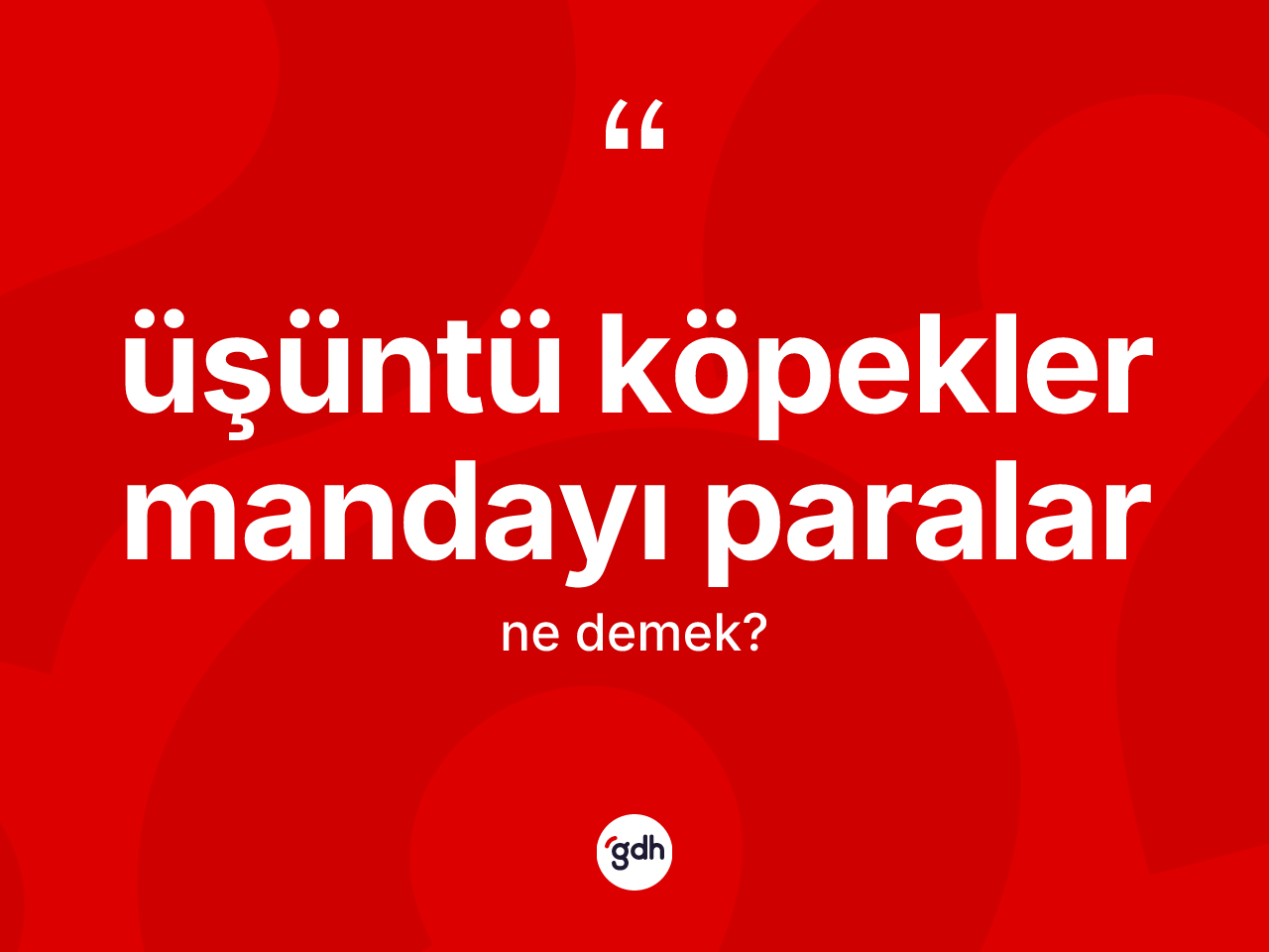 Üşüntü köpekler mandayı paralar ifadesinin kısaca tanımı nedir? Üşüntü köpekler mandayı paralar ifadesinin TDK'ya göre anlamı nedir?