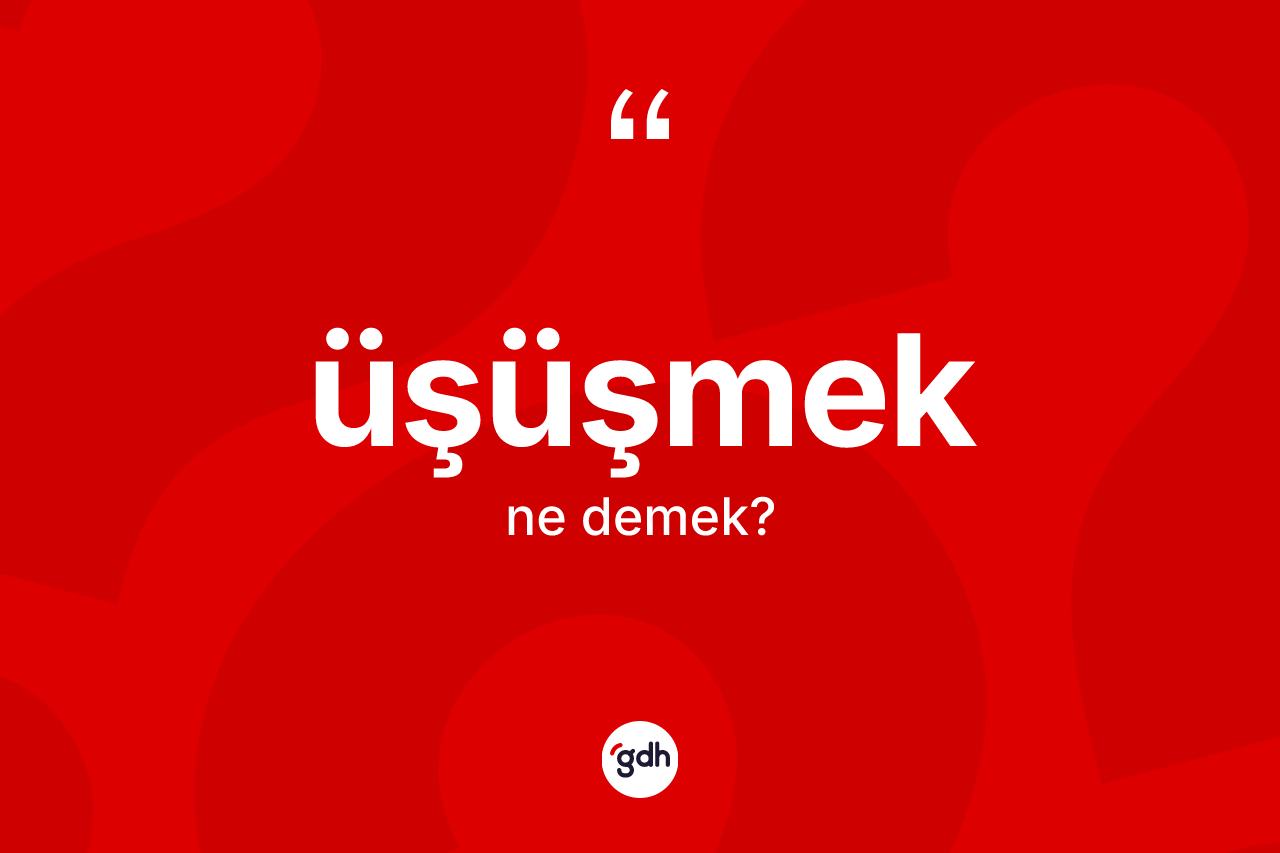 Üşüşmek kelimesinin tanımı nedir? Üşüşmeğin TDK'ya göre anlamı nedir?