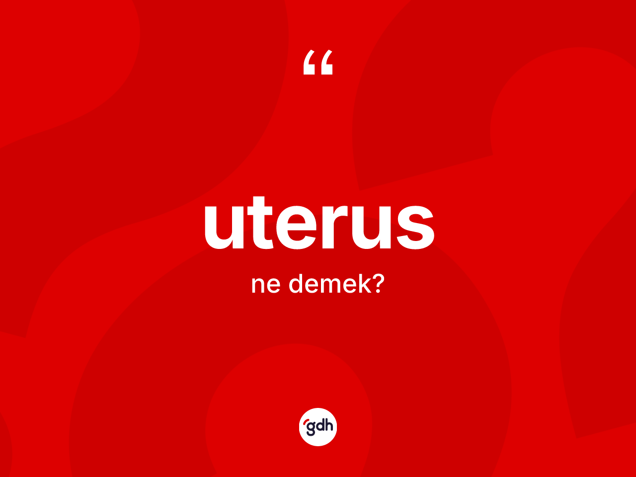 Uterus kelimesinin sözlükteki tanımı nedir? Uterus kelimesinin TDK anlamı nedir?