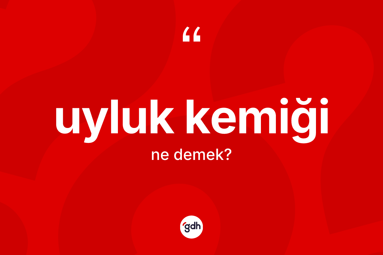 Uyluk kemiği kelimesi ne demek? Uyluk kemiğinin sözlükteki anlamı nedir?