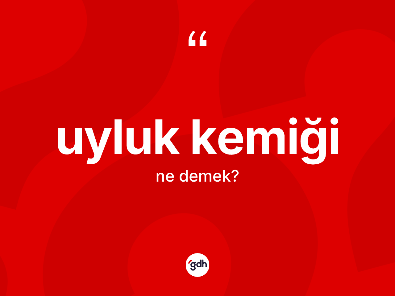 Uyluk kemiği kelimesi ne demek? Uyluk kemiğinin sözlükteki anlamı nedir?