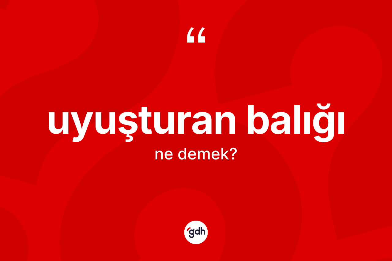 Uyuşturan balığı kelimesi nedir? Uyuşturan balığının TDK'ya göre anlamı nedir?