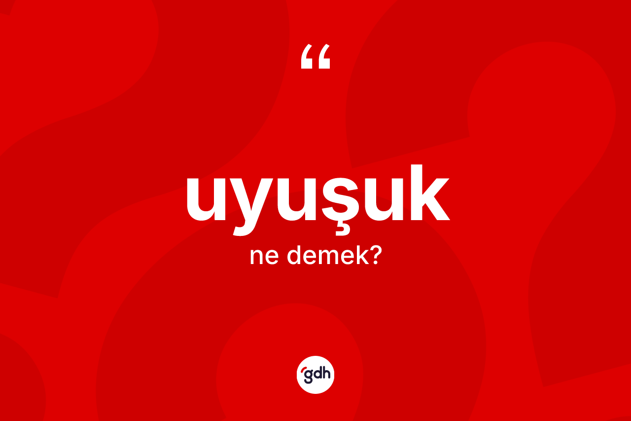 Uyuşuk kelimesi nedir? Uyuşuğun kısaca tanımı nedir?