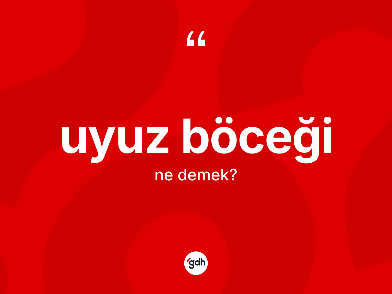 Uyuz böceği kelimesinin tanımı nedir? Uyuz böceği kelimesinin TDK'ya göre açıklaması nedir?