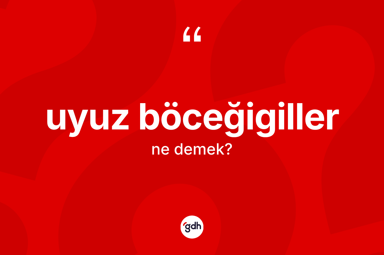 Uyuz böceğigiller kelimesinin sözlükteki tanımı nedir? Uyuz böceğigillerin sözlükteki anlamı nedir?