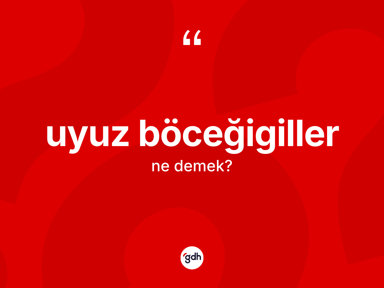 Uyuz böceğigiller kelimesinin sözlükteki tanımı nedir? Uyuz böceğigillerin sözlükteki anlamı nedir?