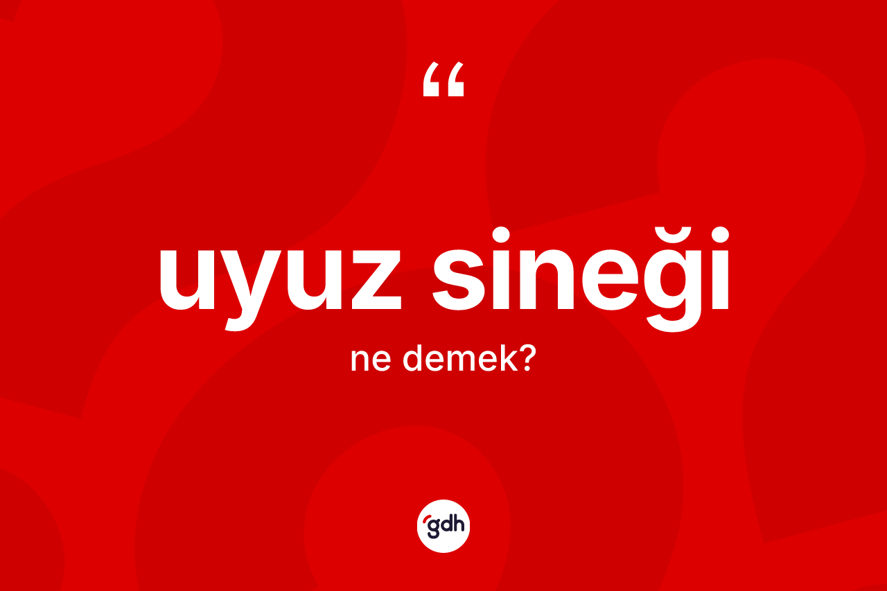 Uyuz sineği kelimesi ne demek? Uyuz sineğinin TDK'ya göre anlamı nedir?