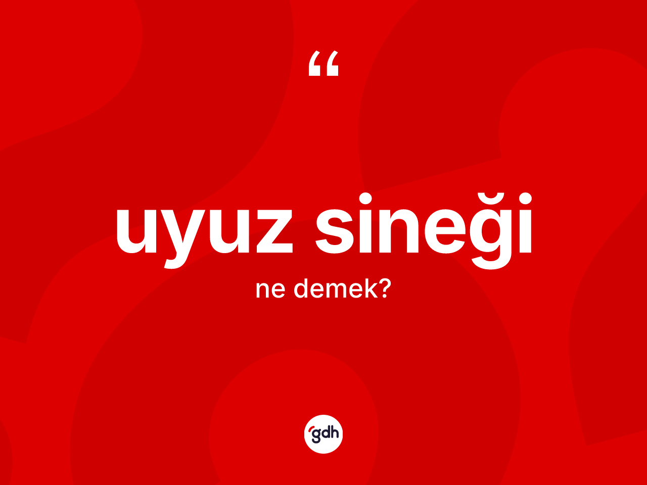 Uyuz sineği kelimesi ne demek? Uyuz sineğinin TDK'ya göre anlamı nedir?