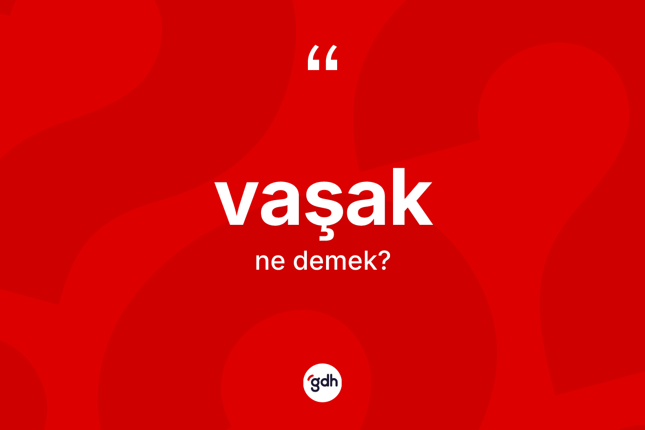 Vaşak kelimesi nedir? Vaşağın TDK'ya göre anlamı nedir?