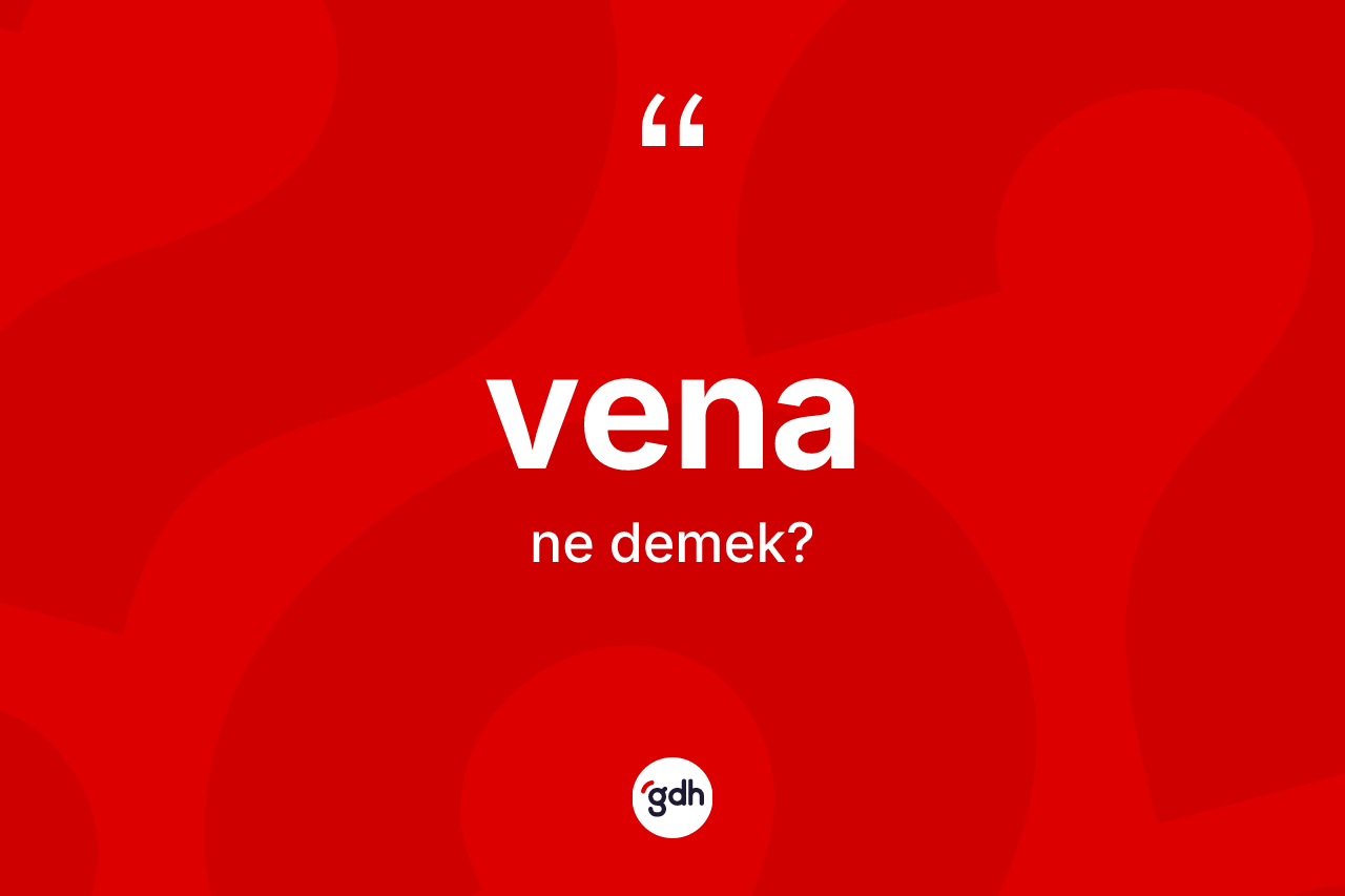 Vena kelimesinin tanımı nedir? Vena kelimesinin kaç farklı anlamı var?