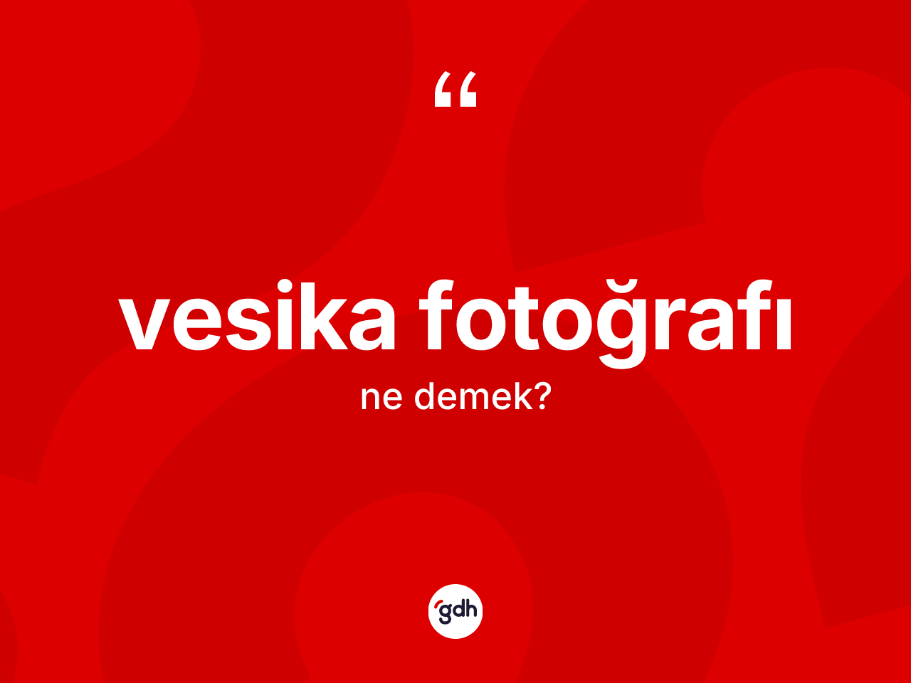 Vesika fotoğrafı kelimesi nedir? Vesika fotoğrafının TDK'ya göre anlamı nedir?