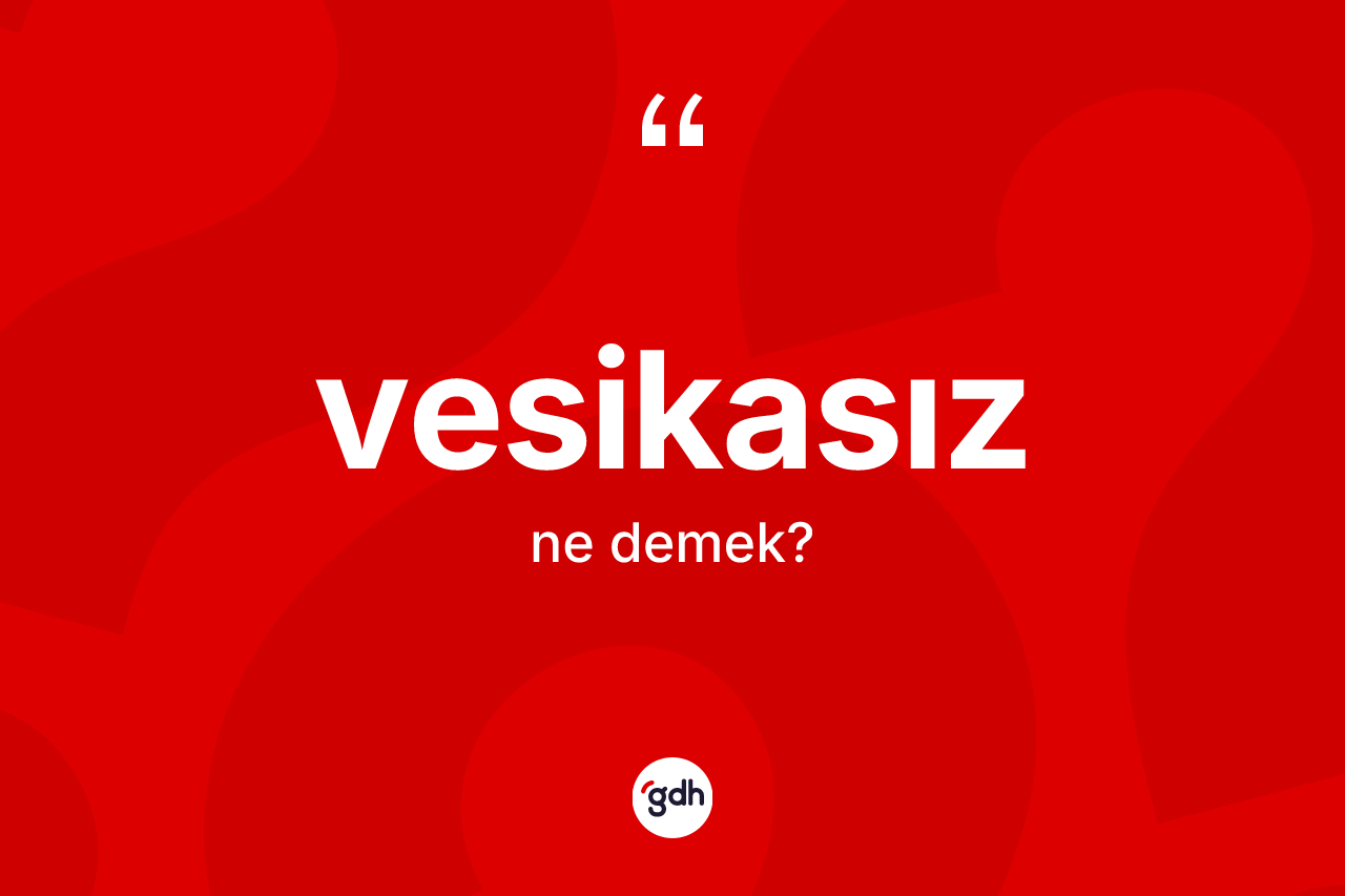 Vesikasız kelimesi ne demek? Vesikasızın TDK'ya göre anlamı nedir?