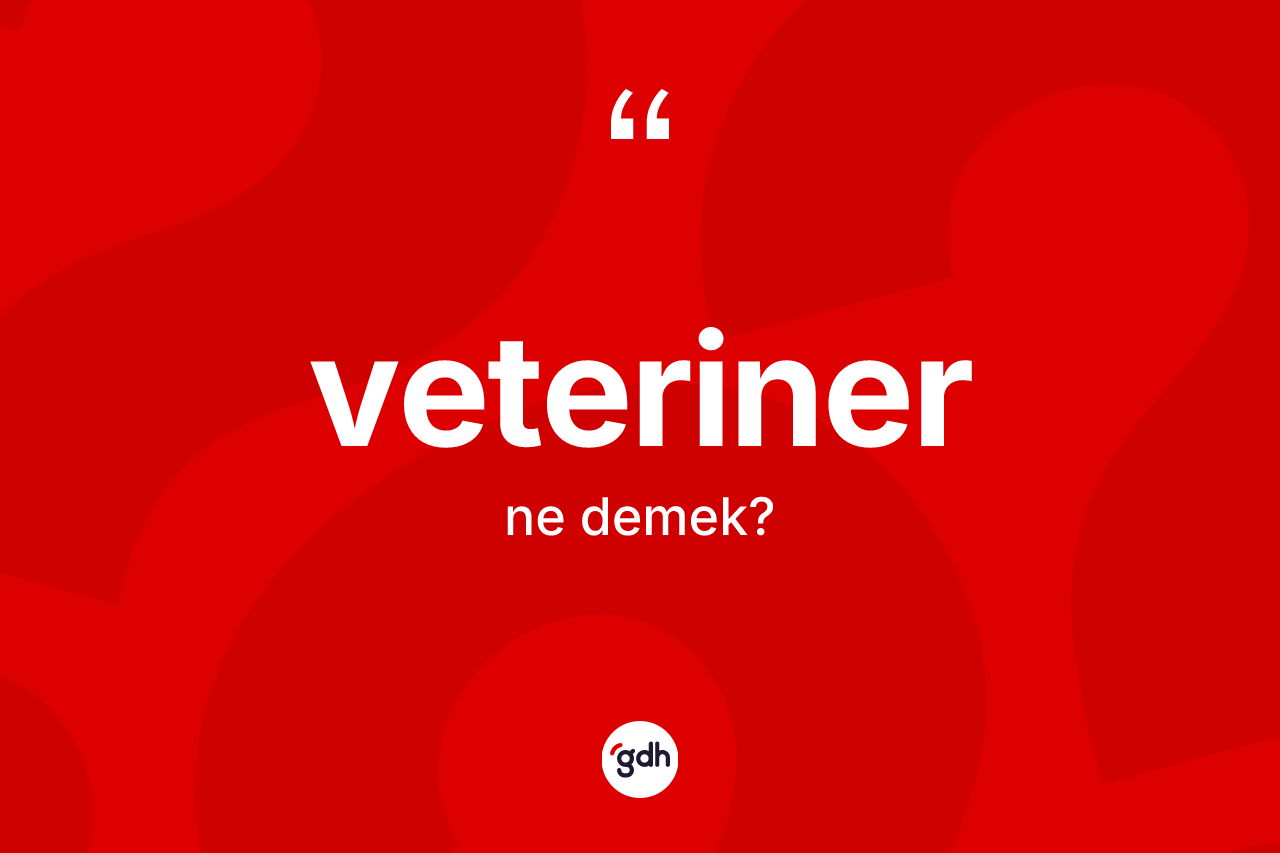 Veteriner ne demek? Veteriner kelimesinin TDK'ya göre açıklaması nedir?