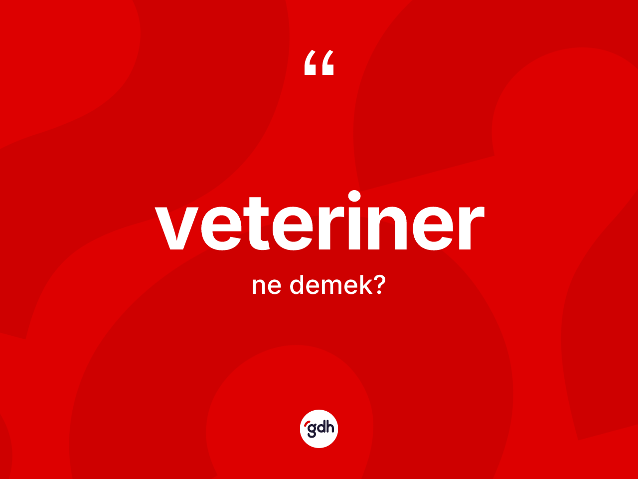 Veteriner ne demek? Veteriner kelimesinin TDK'ya göre açıklaması nedir?