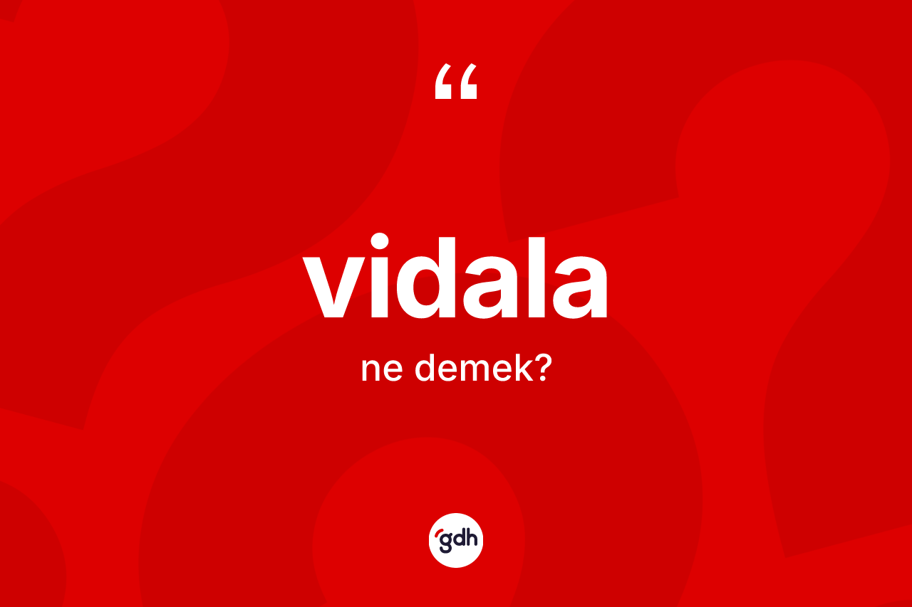 Vidala kelimesinin anlamı nedir? Vidala kelimesinin TDK anlamı nedir?