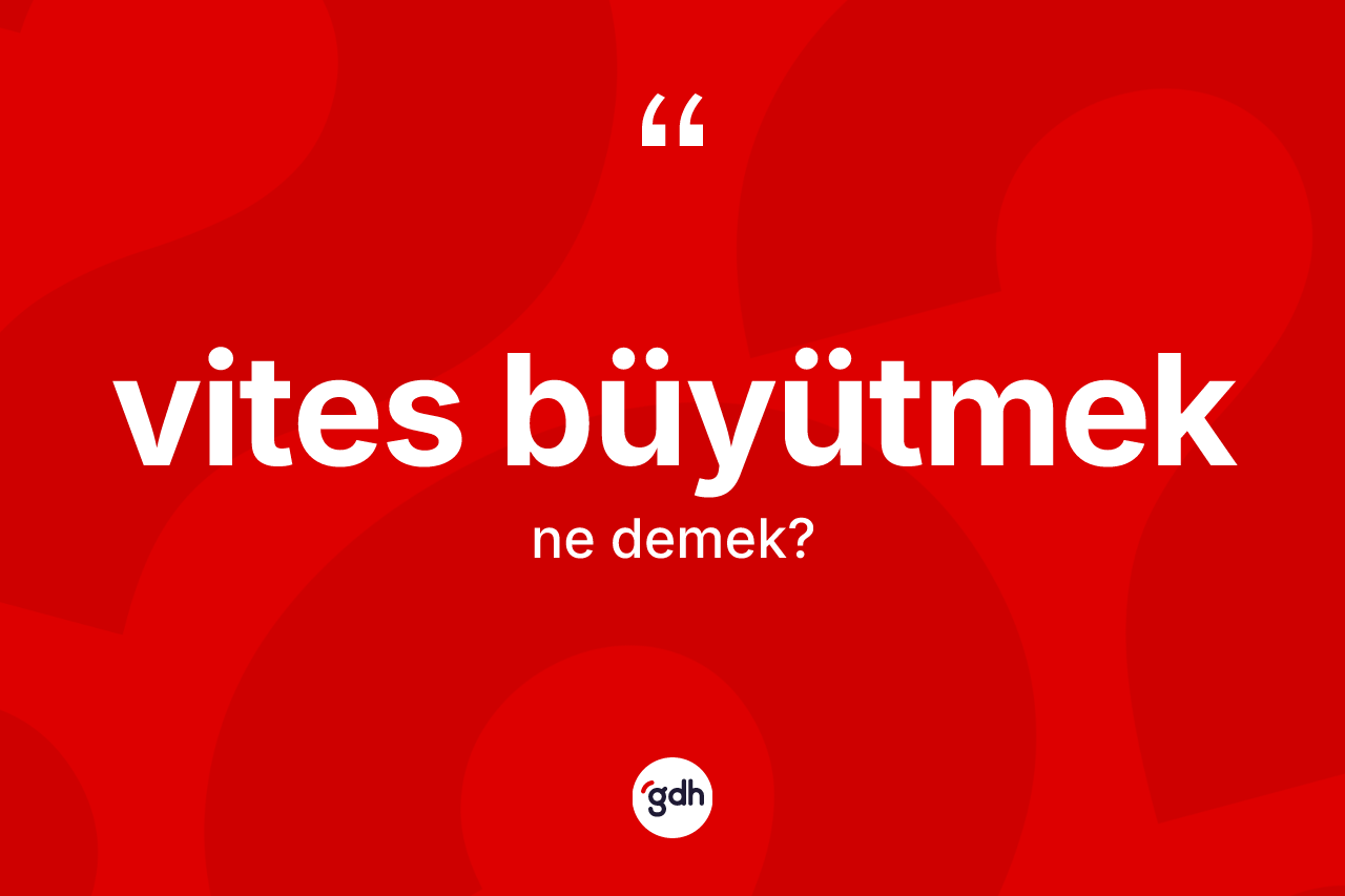 Vites büyütmek ifadesinin tanımı nedir? Vites büyütmek ifadesinin özellikleri nelerdir?