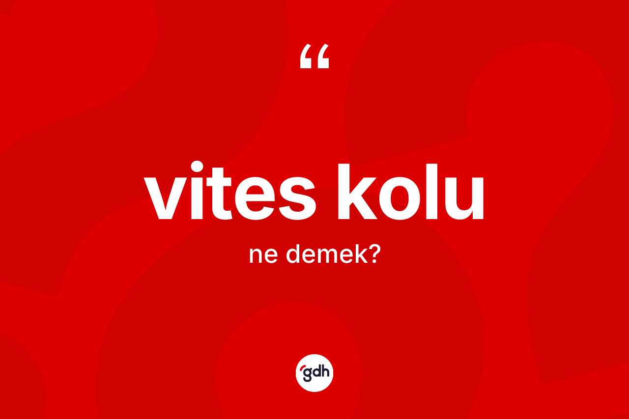 Vites kolu kelimesinin tanımı nedir? Vites kolu kelimesinin kaç farklı anlamı var?