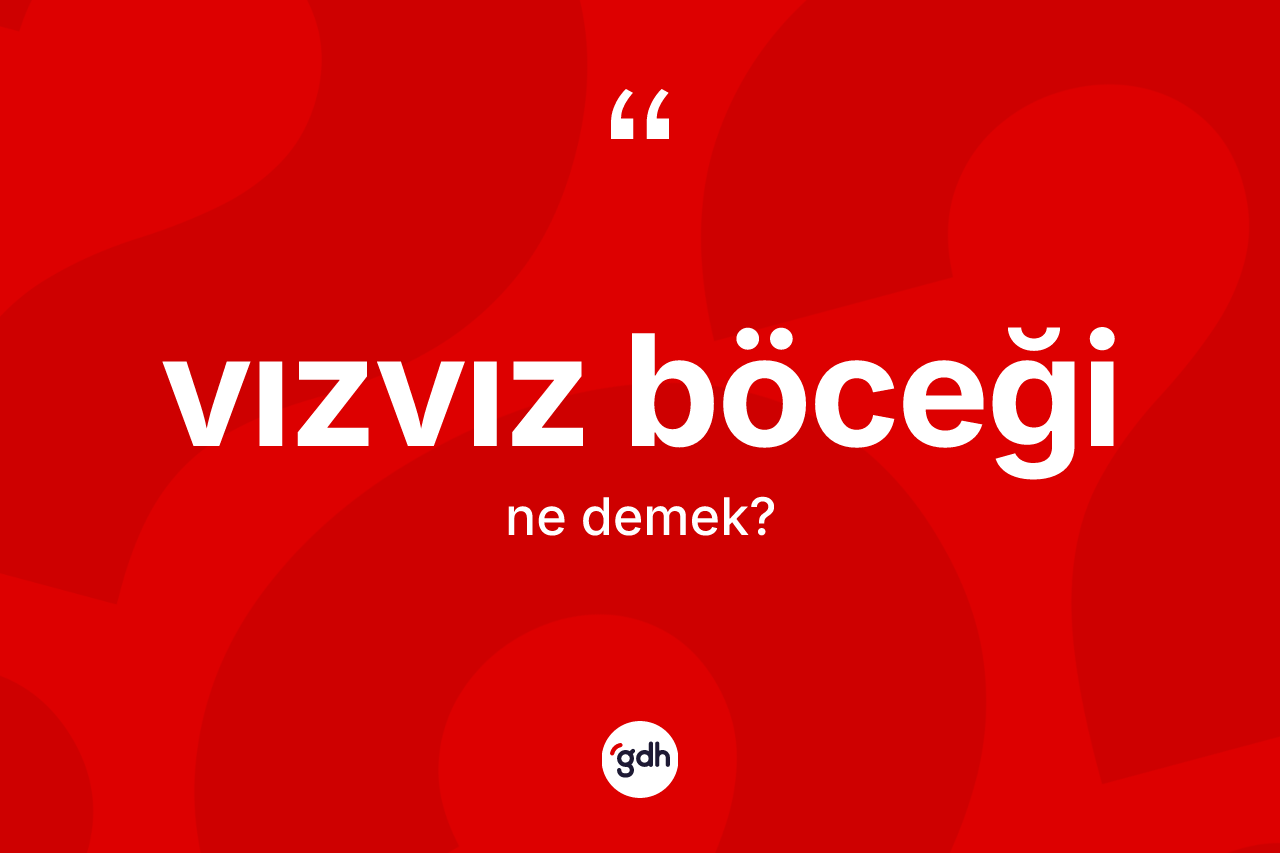 Vızvız böceği ne demek? Vızvız böceği kelimesinin TDK'ya göre açıklaması nedir?