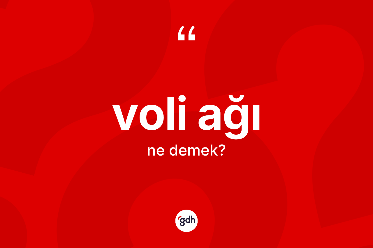 Voli ağı kelimesinin sözlükteki tanımı nedir? Voli ağının kısaca tanımı nedir?