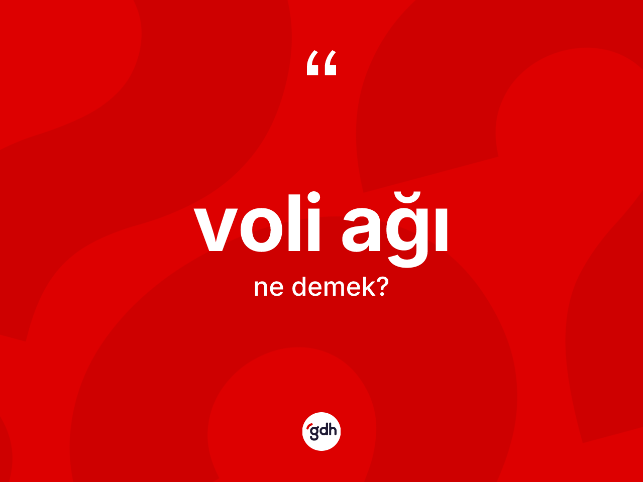 Voli ağı kelimesinin sözlükteki tanımı nedir? Voli ağının kısaca tanımı nedir?