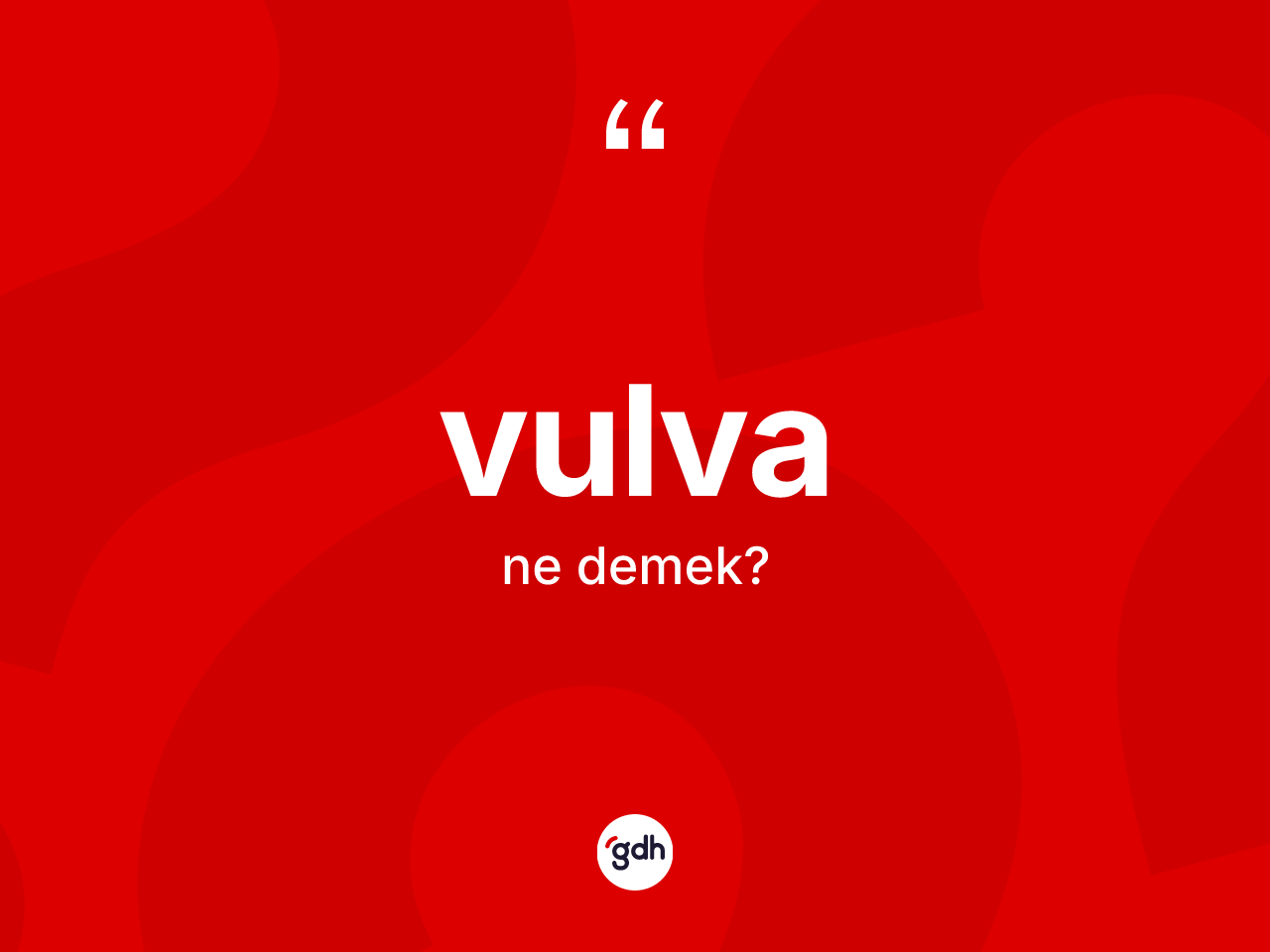 Vulva kelimesinin anlamı nedir? Vulva kelimesinin özellikleri nelerdir?