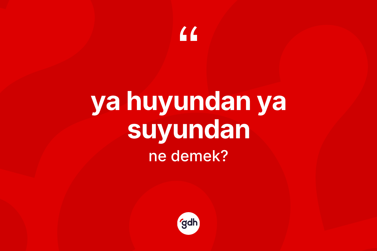 Ya huyundan ya suyundan ifadesinin anlamı nedir? Ya huyundan ya suyundan ifadesinin TDK anlamı nedir?