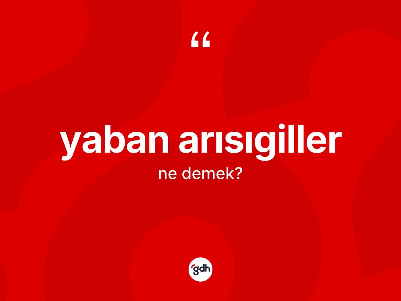 Yaban arısıgiller kelimesi ne anlama gelir? Yaban arısıgiller kelimesinin TDK anlamı nedir?