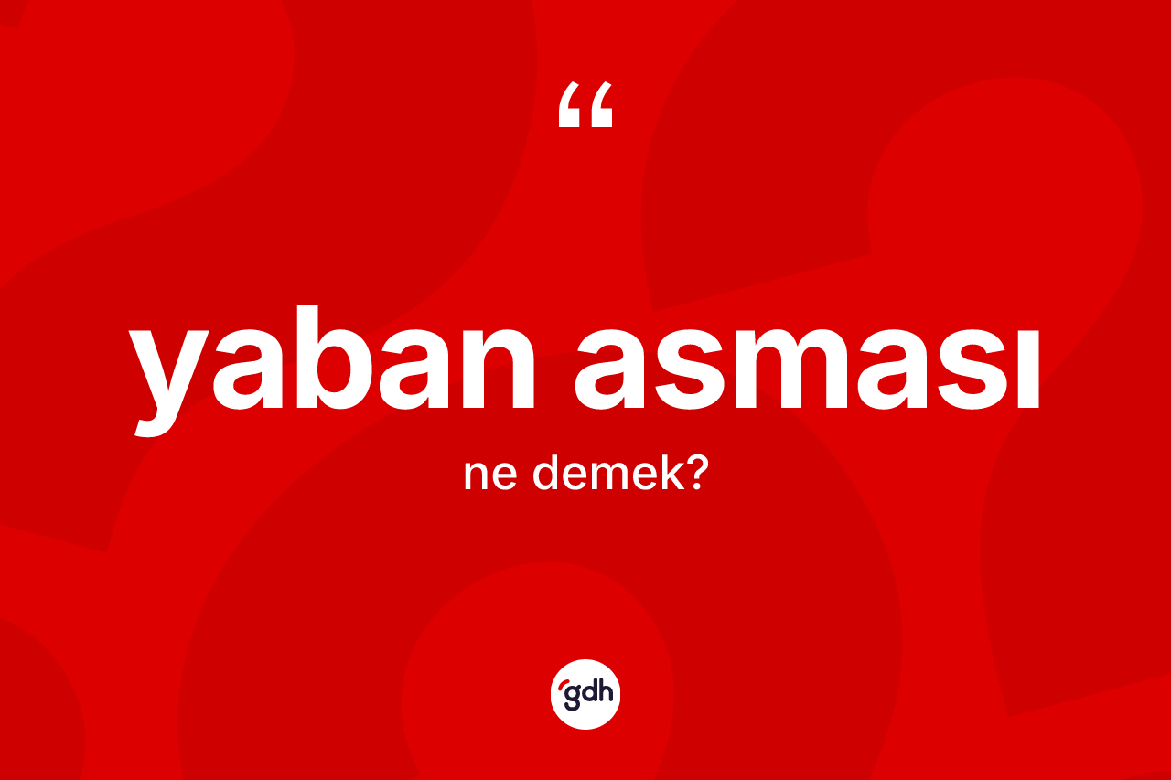 Yaban asması kelimesinin sözlükteki tanımı nedir? Yaban asmasının TDK'ya göre anlamı nedir?