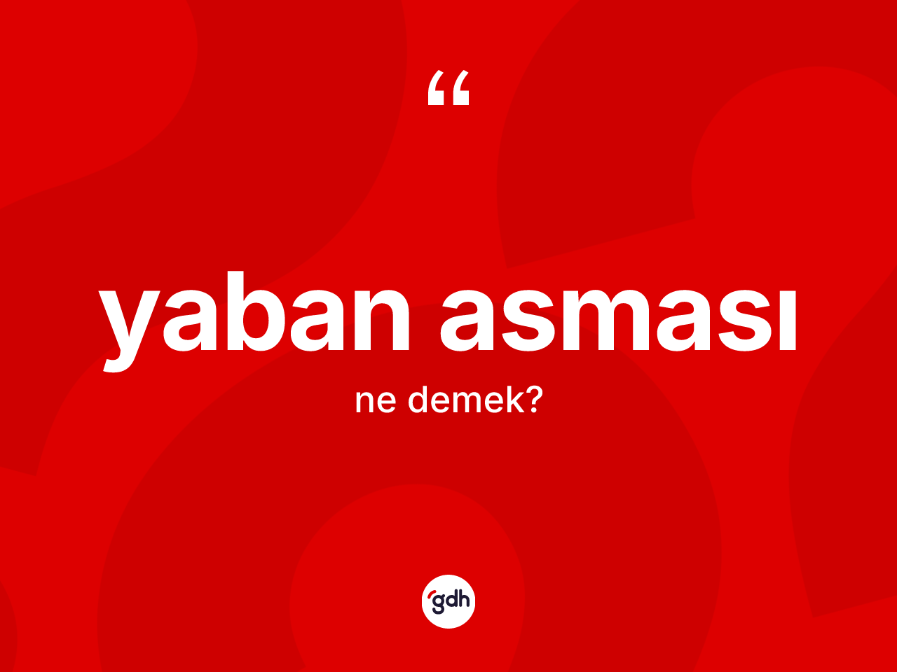 Yaban asması kelimesinin sözlükteki tanımı nedir? Yaban asmasının TDK'ya göre anlamı nedir?