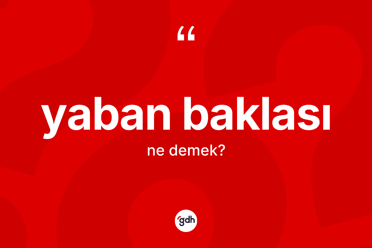 Yaban baklası kelimesi ne demek? Yaban baklası kelimesinin TDK anlamı nedir?