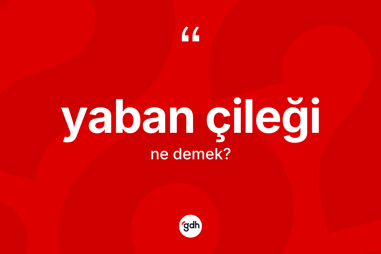 Yaban çileği kelimesinin tanımı nedir? Yaban çileği kelimesinin TDK anlamı nedir?
