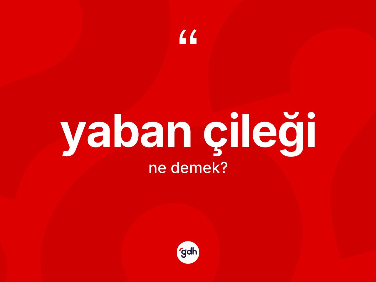 Yaban çileği kelimesinin tanımı nedir? Yaban çileği kelimesinin TDK anlamı nedir?