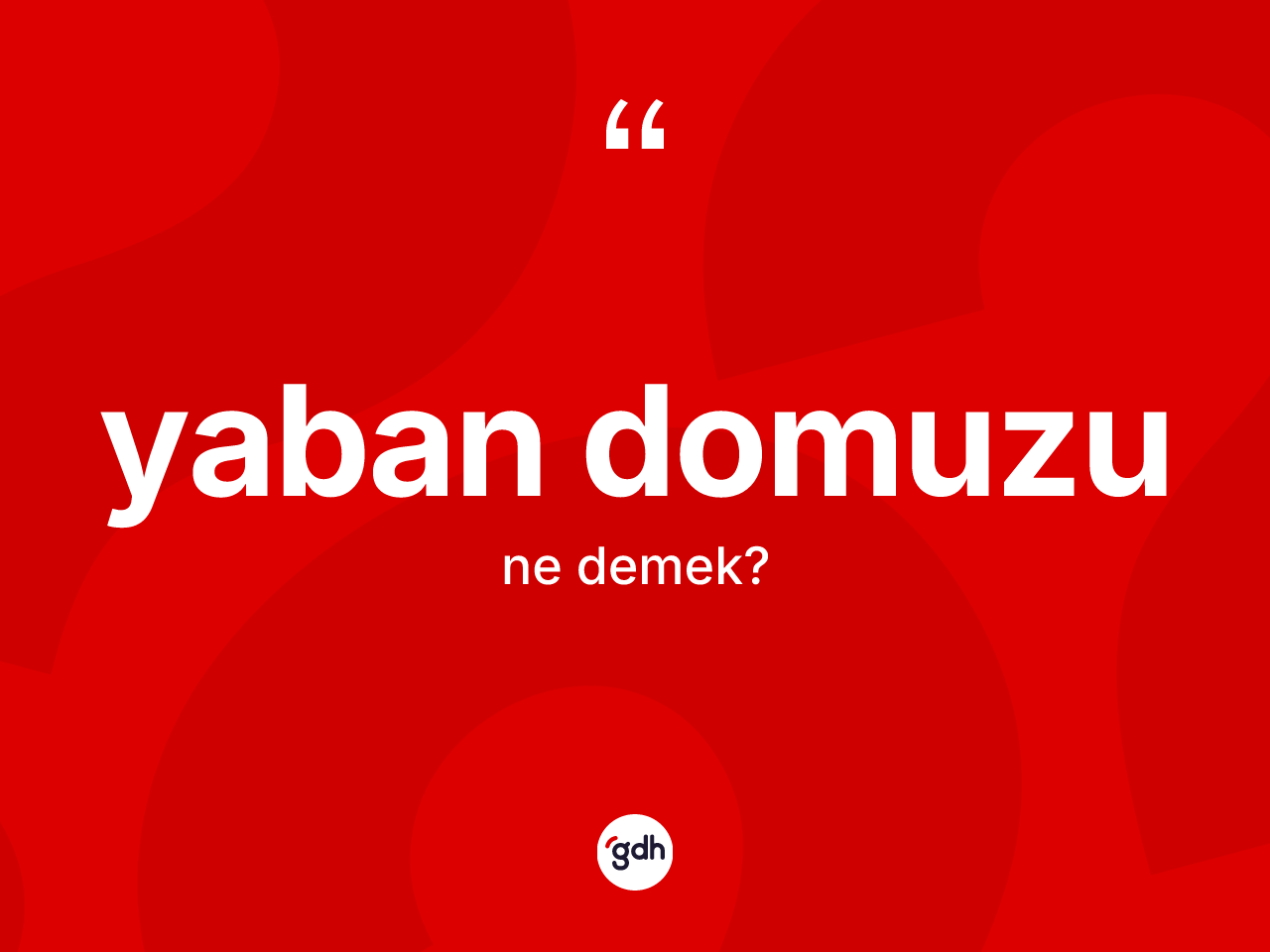 Yaban domuzu kelimesi ne demek? Yaban domuzunun TDK'ya göre anlamı nedir?