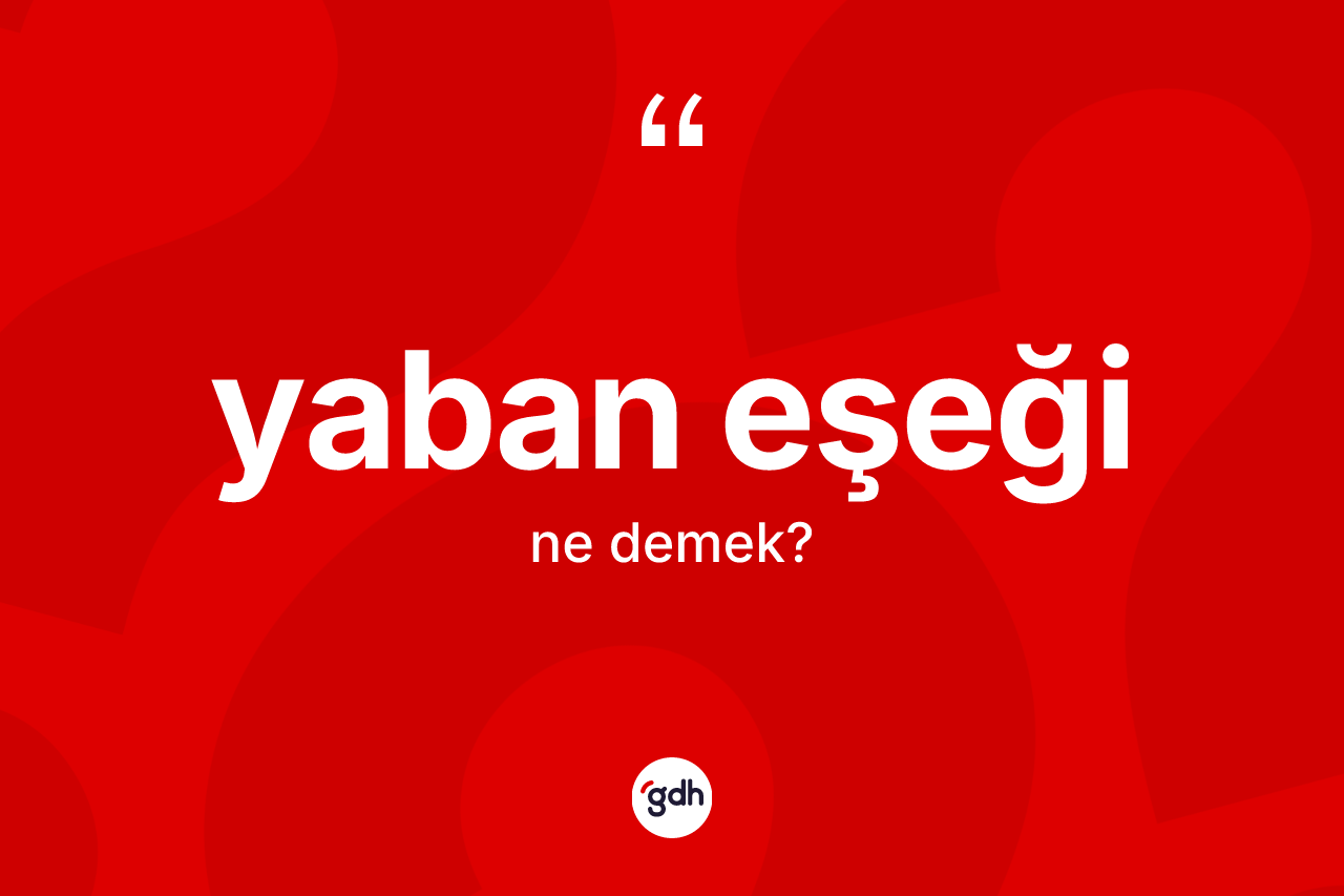 Yaban eşeği kelimesinin tanımı nedir? Yaban eşeği kelimesinin kaç farklı anlamı var?