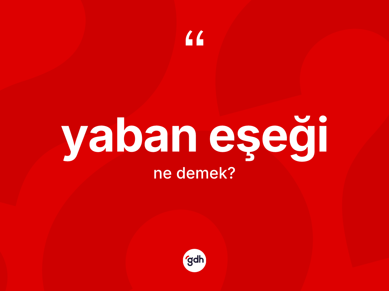 Yaban eşeği kelimesinin tanımı nedir? Yaban eşeği kelimesinin kaç farklı anlamı var?
