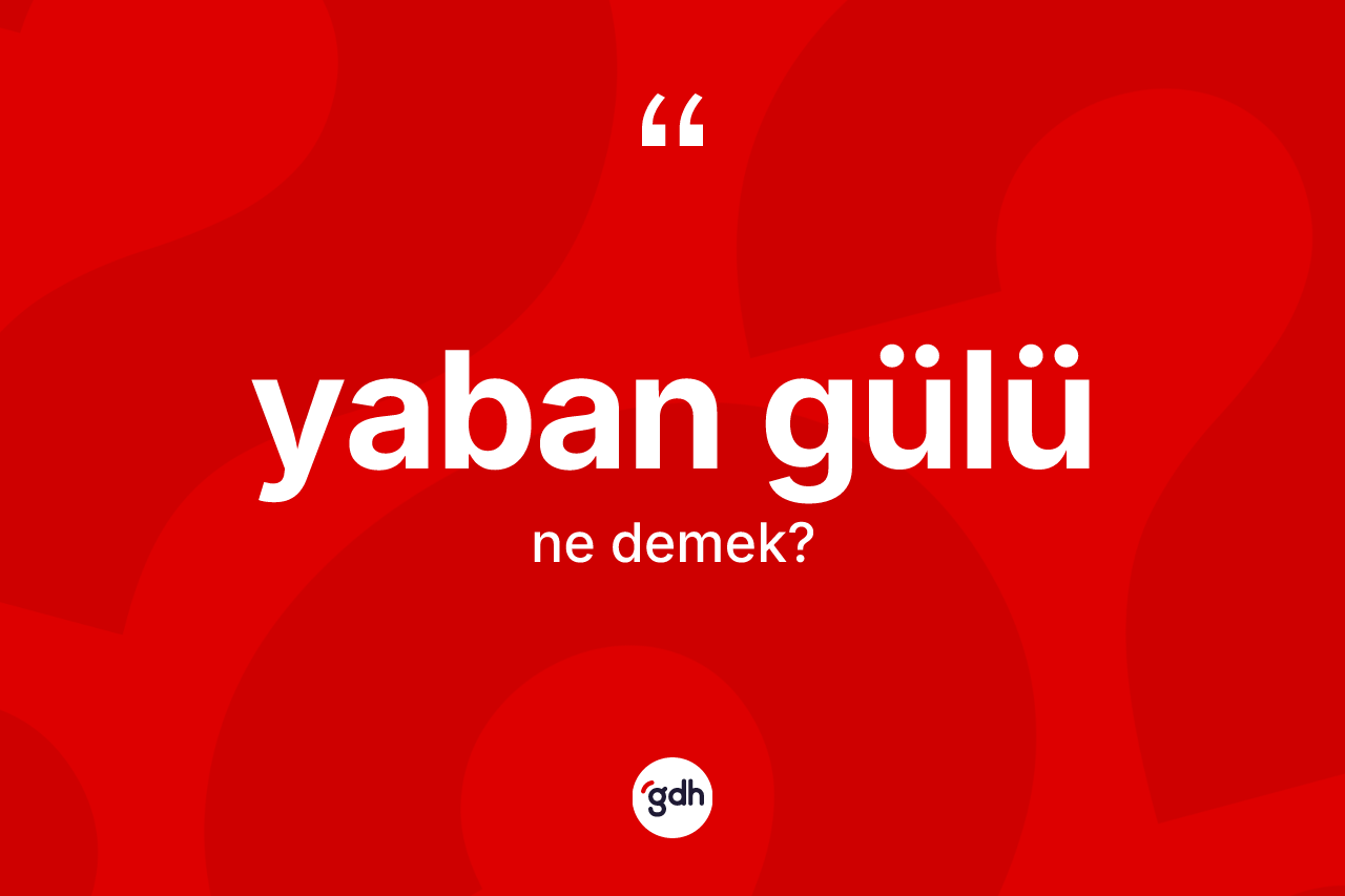 Yaban gülü kelimesinin tanımı nedir? Yaban gülünün sözlükteki anlamı nedir?