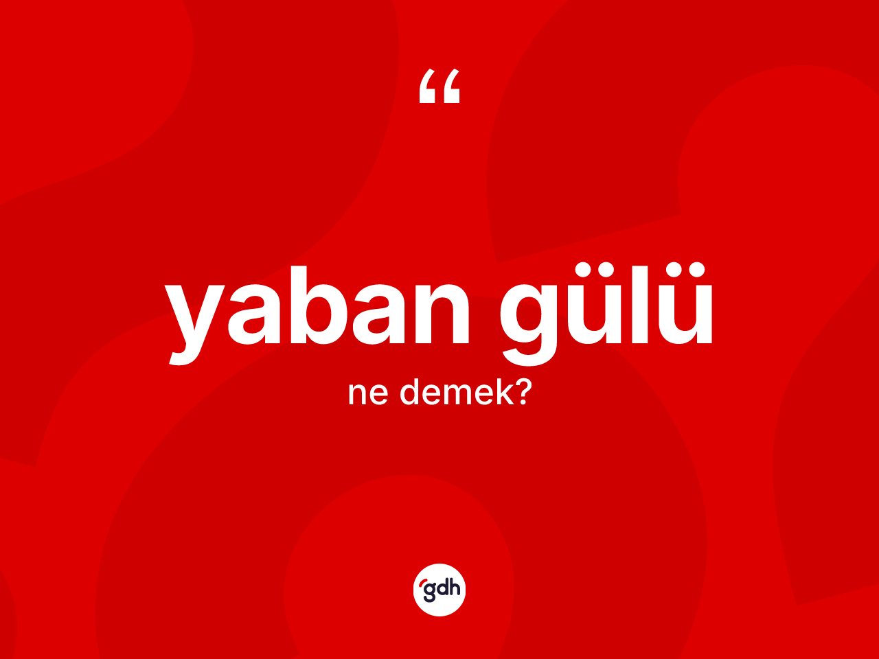 Yaban gülü kelimesinin tanımı nedir? Yaban gülünün sözlükteki anlamı nedir?