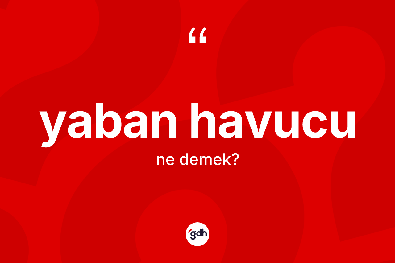 Yaban havucu kelimesi nedir? Yaban havucunun TDK'ya göre anlamı nedir?