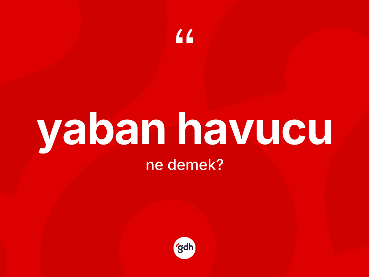 Yaban havucu kelimesi nedir? Yaban havucunun TDK'ya göre anlamı nedir?