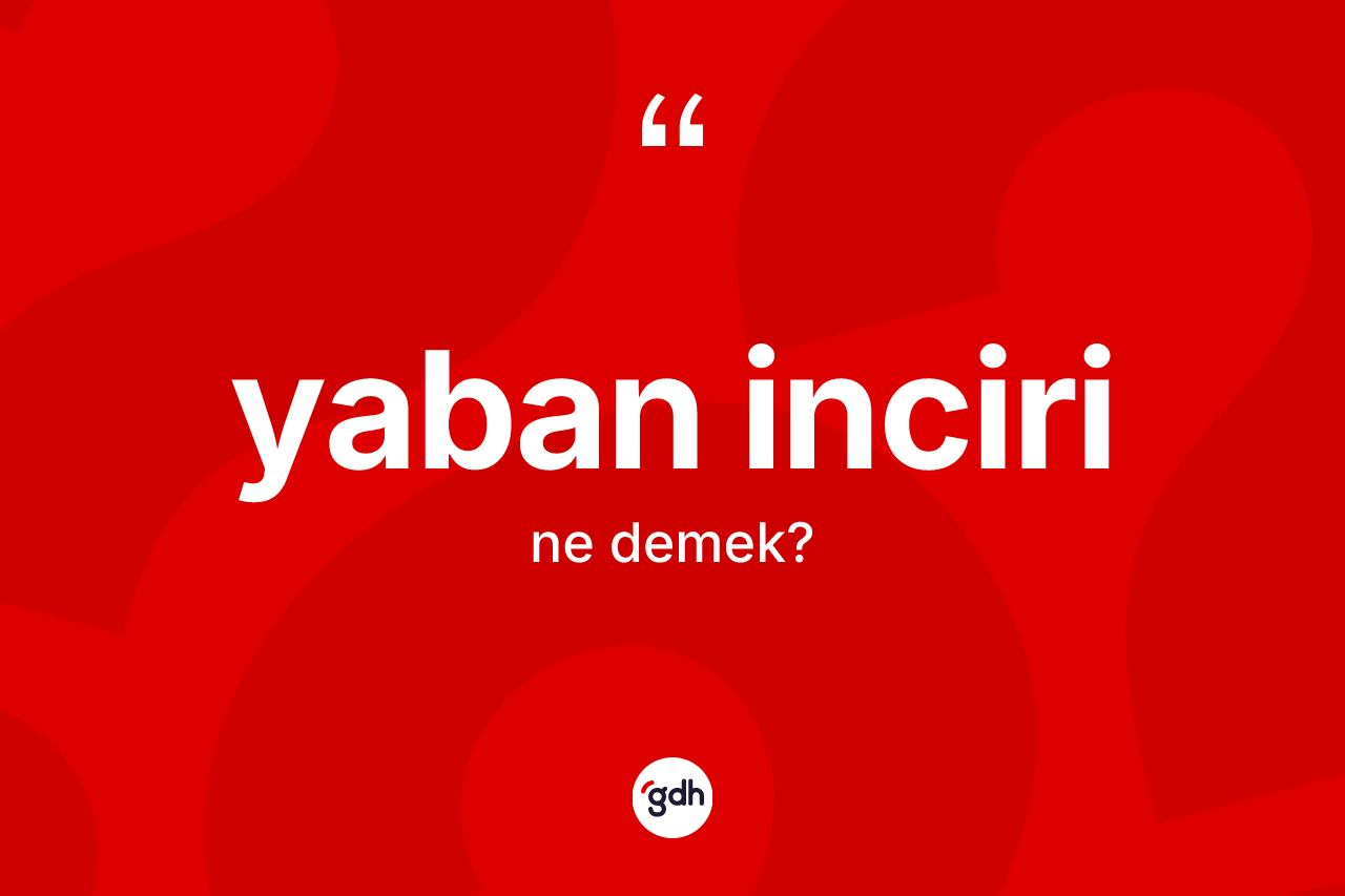 Yaban inciri nedir? Yaban incirinin halk arasındaki kullanımı nasıldır?