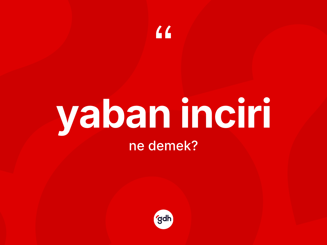 Yaban inciri nedir? Yaban incirinin halk arasındaki kullanımı nasıldır?