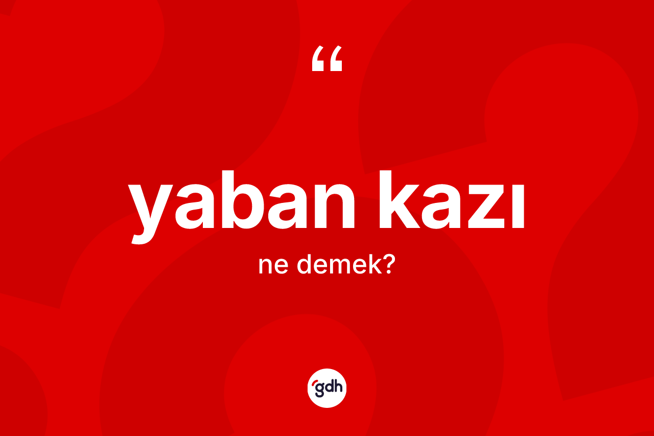 Yaban kazı kelimesinin anlamı nedir? Yaban kazının TDK'ya göre anlamı nedir?