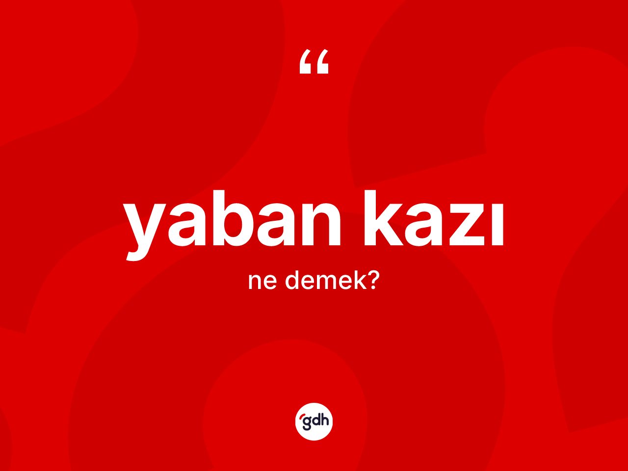 Yaban kazı kelimesinin anlamı nedir? Yaban kazının TDK'ya göre anlamı nedir?