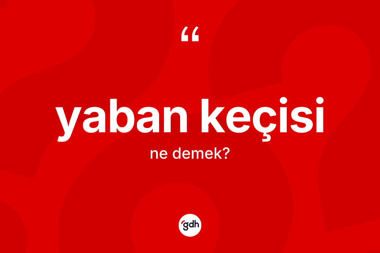Yaban keçisi kelimesinin anlamı nedir? Yaban keçisinin kısaca tanımı nedir?
