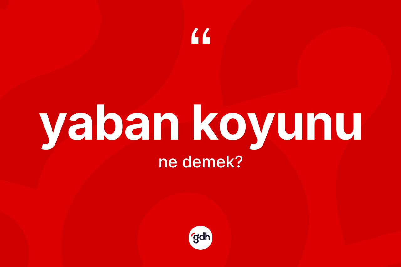 Yaban koyunu ne demek? Yaban koyununun TDK'ya göre anlamı nedir?