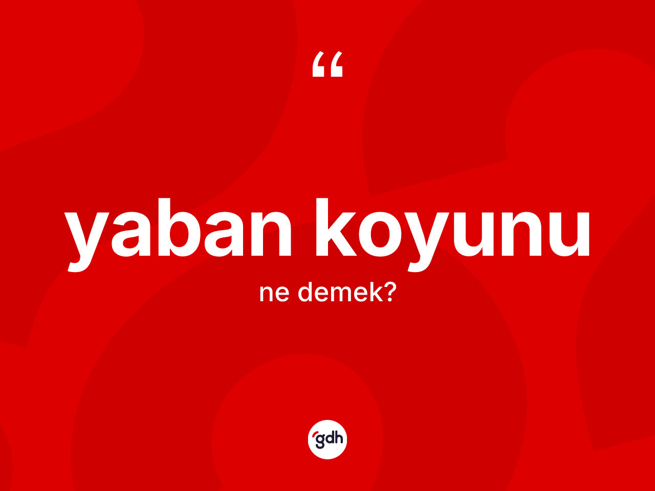 Yaban koyunu ne demek? Yaban koyununun TDK'ya göre anlamı nedir?