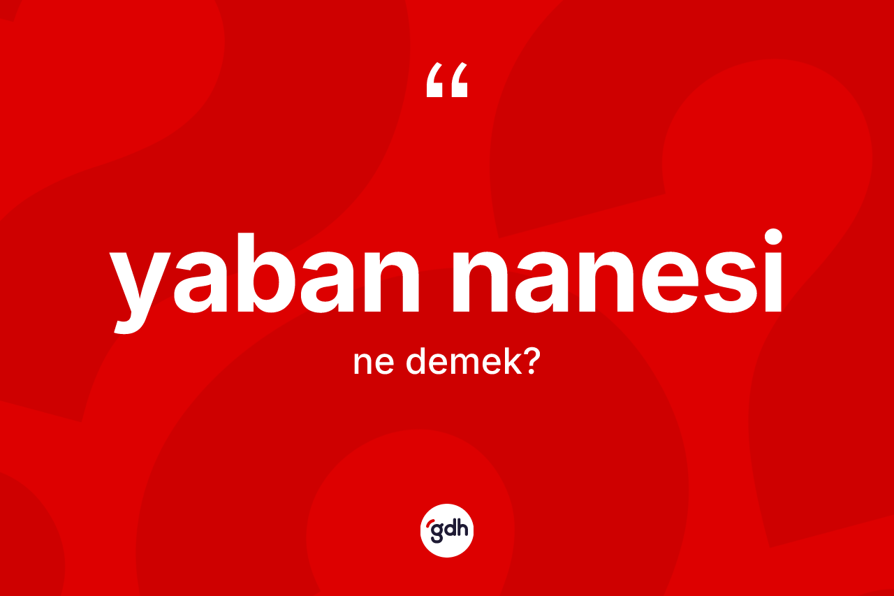 Yaban nanesi kelimesinin tanımı nedir? Yaban nanesinin TDK'ya göre anlamı nedir?