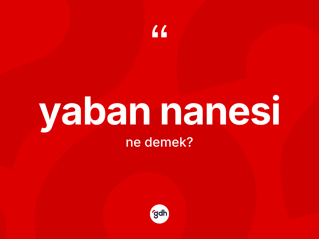 Yaban nanesi kelimesinin tanımı nedir? Yaban nanesinin TDK'ya göre anlamı nedir?